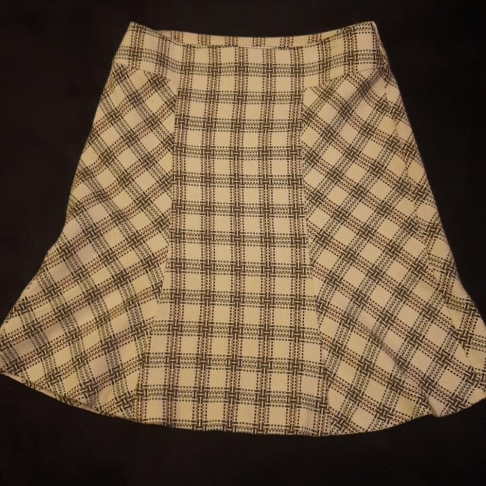 Ann Taylor skirt
